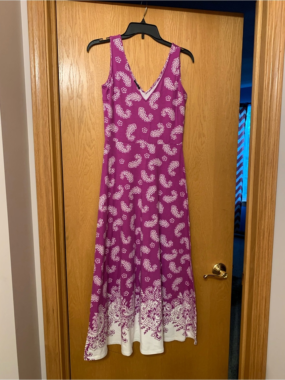 Talbots Purple Paisley Maxi Dress with White Border